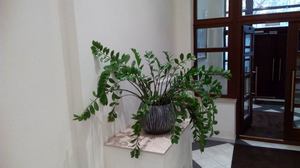 Коридор офісу
